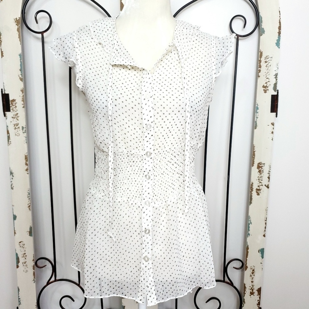 Zinc polka-dot sheer top medium